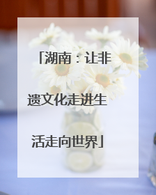 湖南：让非遗文化走进生活走向世界