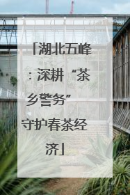 湖北五峰：深耕“茶乡警务” 守护春茶经济