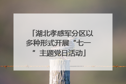 湖北孝感军分区以多种形式开展“七一”主题党日活动