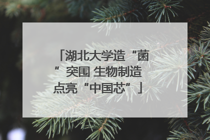 湖北大学造“菌”突围 生物制造点亮“中国芯”
