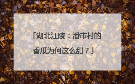 湖北江陵：潘市村的香瓜为何这么甜？