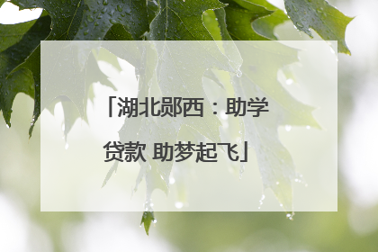 湖北郧西：助学贷款 助梦起飞