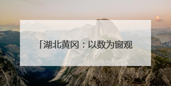 湖北黄冈：以数为窗观变局 以智为镜促转型