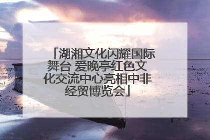 湖湘文化闪耀国际舞台 爱晚亭红色文化交流中心亮相中非经贸博览会