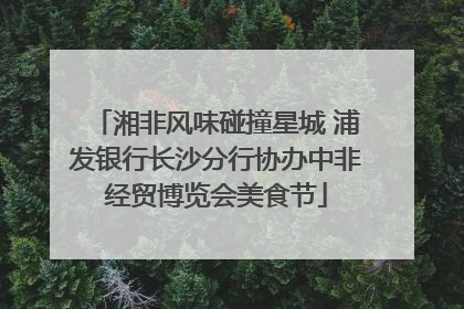 湘非风味碰撞星城 浦发银行长沙分行协办中非经贸博览会美食节