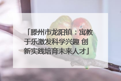滕州市龙阳镇：寓教于乐激发科学兴趣 创新实践培育未来人才