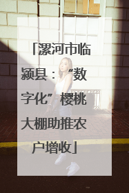 漯河市临颍县：“数字化”樱桃大棚助推农户增收
