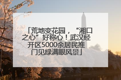 荒地变花园，“湘口之心”好称心！武汉经开区5000余居民推门见绿满眼风景