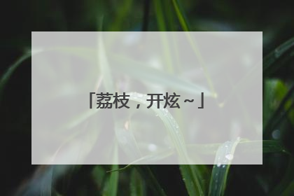 荔枝，开炫～