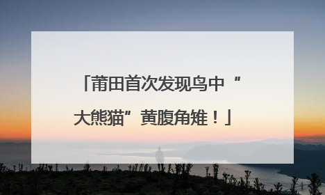 莆田首次发现鸟中“大熊猫”黄腹角雉！