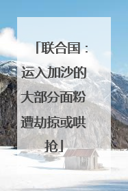 联合国：运入加沙的大部分面粉遭劫掠或哄抢