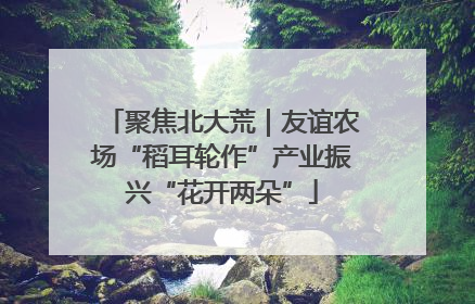聚焦北大荒｜友谊农场“稻耳轮作”产业振兴“花开两朵”
