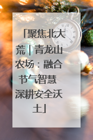 聚焦北大荒｜青龙山农场：融合节气智慧 深耕安全沃土