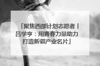 聚焦西部计划志愿者丨吕学亨：用青春力量助力打造新疆产业名片