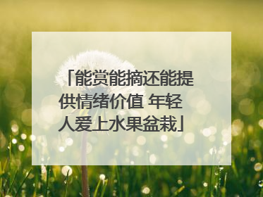 能赏能摘还能提供情绪价值 年轻人爱上水果盆栽