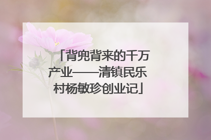 背兜背来的千万产业——清镇民乐村杨敏珍创业记