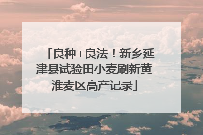 良种+良法！新乡延津县试验田小麦刷新黄淮麦区高产记录