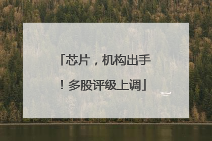 芯片，机构出手！多股评级上调