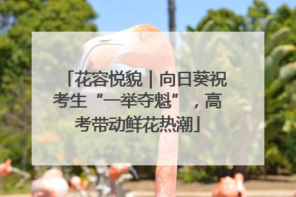 花容悦貌｜向日葵祝考生“一举夺魁”，高考带动鲜花热潮
