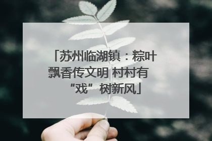 苏州临湖镇：粽叶飘香传文明 村村有“戏”树新风