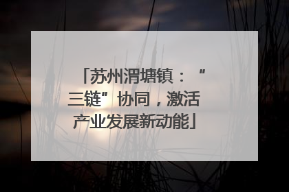 苏州渭塘镇：“三链”协同，激活产业发展新动能