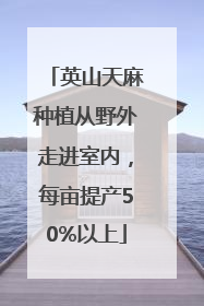 英山天麻种植从野外走进室内，每亩提产50%以上