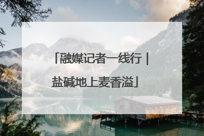 融媒记者一线行｜盐碱地上麦香溢