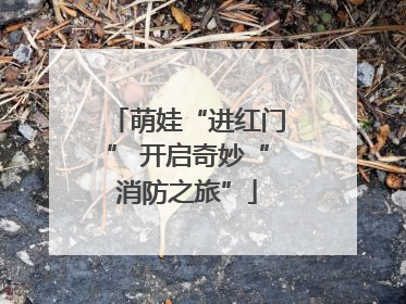 萌娃“进红门” 开启奇妙“消防之旅”