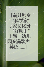 萌娃秒变“科学家”，家长化身“好助手”！愚一幼儿园充满欢声笑语……