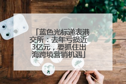 蓝色光标递表港交所：去年亏损近3亿元，要抓住出海跨境营销机遇