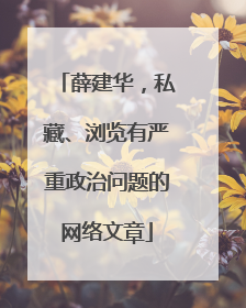 薛建华，私藏、浏览有严重政治问题的网络文章