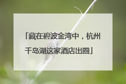 藏在碧波金湾中，杭州千岛湖这家酒店出圈
