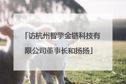 访杭州智擎金链科技有限公司董事长和扬扬