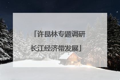 许昆林专题调研长江经济带发展