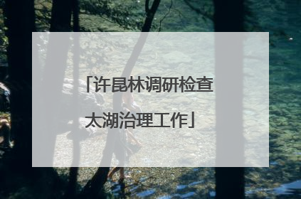 许昆林调研检查太湖治理工作