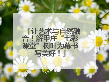 让艺术与自然融合！解甲庄“七彩课堂”树叶为幕书写美好！