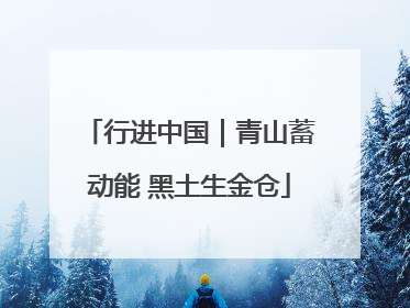 行进中国｜青山蓄动能 黑土生金仓