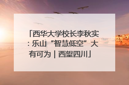 西华大学校长李秋实：乐山“智慧低空”大有可为｜西望四川