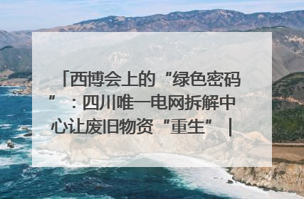 西博会上的“绿色密码”：四川唯一电网拆解中心让废旧物资“重生”｜西博寻“新”记