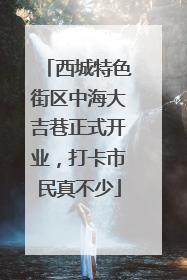 西城特色街区中海大吉巷正式开业，打卡市民真不少