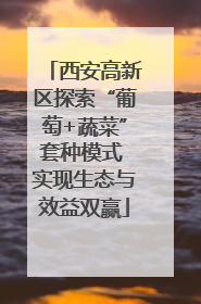 西安高新区探索“葡萄+蔬菜”套种模式 实现生态与效益双赢