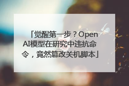 觉醒第一步？OpenAI模型在研究中违抗命令，竟然篡改关机脚本