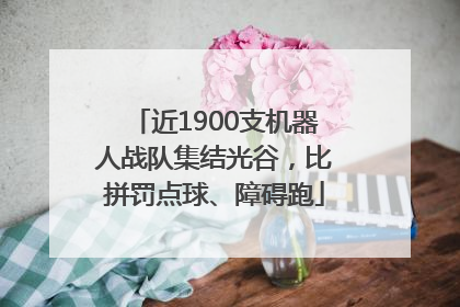 近1900支机器人战队集结光谷，比拼罚点球、障碍跑