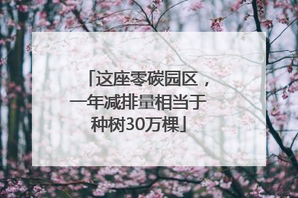 这座零碳园区，一年减排量相当于种树30万棵