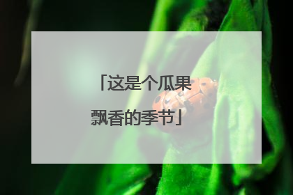 这是个瓜果飘香的季节