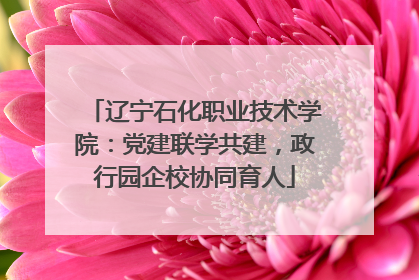 辽宁石化职业技术学院：党建联学共建，政行园企校协同育人