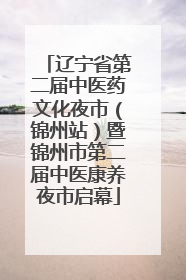 辽宁省第二届中医药文化夜市（锦州站）暨锦州市第二届中医康养夜市启幕