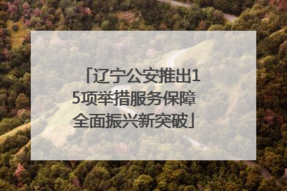 辽宁公安推出15项举措服务保障全面振兴新突破