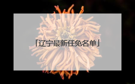辽宁最新任免名单