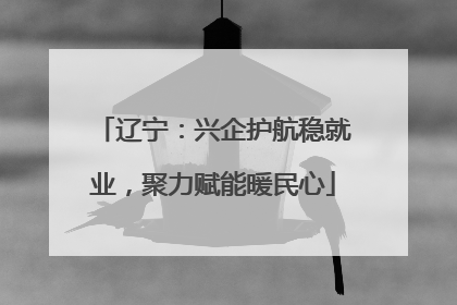 辽宁：兴企护航稳就业，聚力赋能暖民心